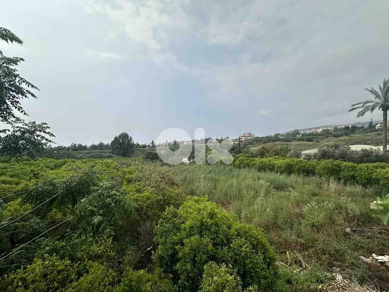 Land For Sale In Batroun | 1246 SQM Residential | أرض للبيع |PLS 26069 4