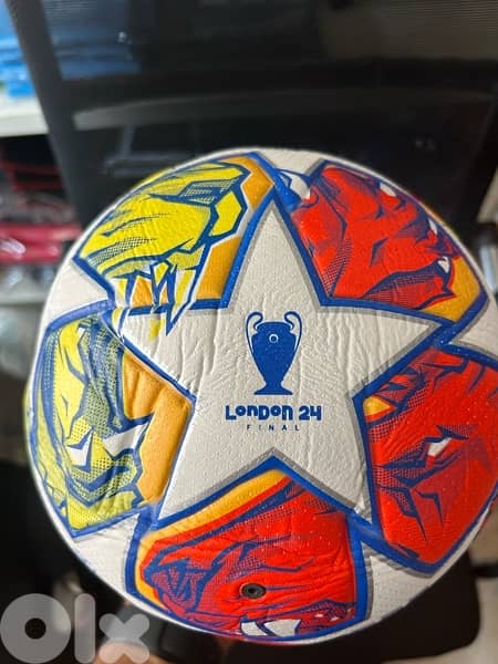 eurocup 2024 1