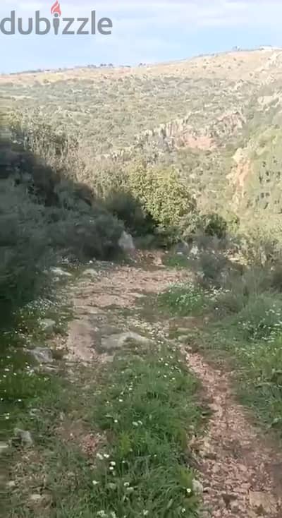 4 Lands for sale in Jebla 4 أراضي للبيع في جبلا