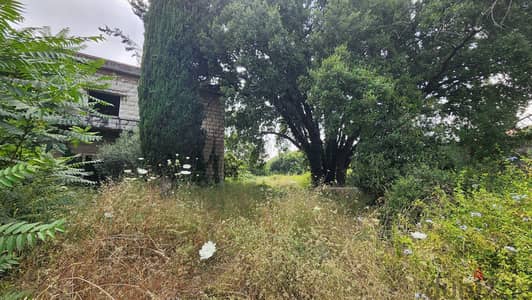 Land for sale in Louaize  أرض للبيع باللويزة