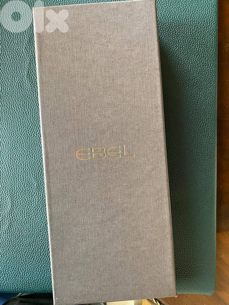 Ebel Silk Necktie 2