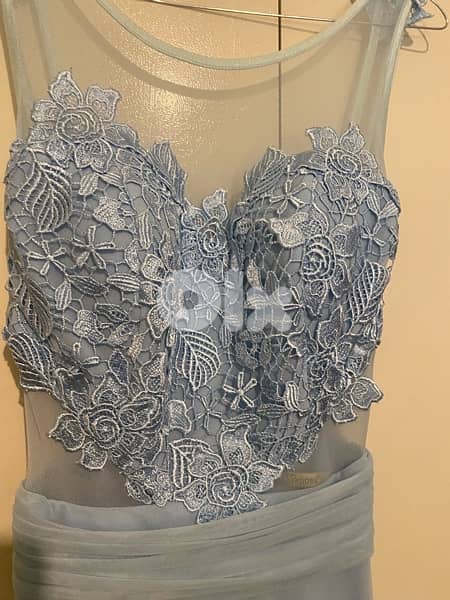 wedding or evening dress 1