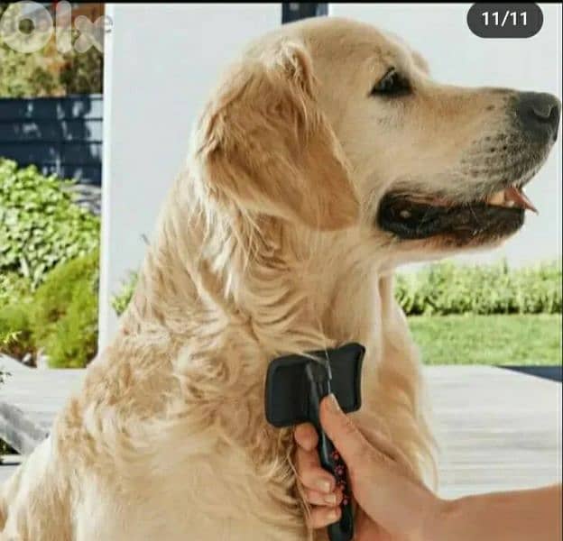 ZOOFARI PET HAIR TRIMMER. with 13 pcs of accessories/4$delivery 8