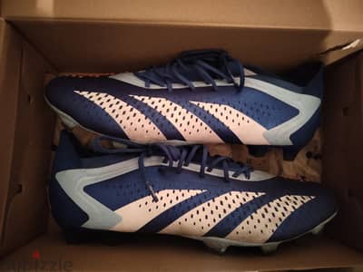 Adidas Predator Accuracy. 1 FG SIZE ( 46 2/3 )