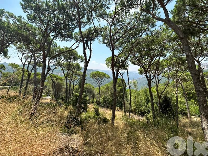 Prime Location | 2650 Sqm | Land For Sale In Broumana 0
