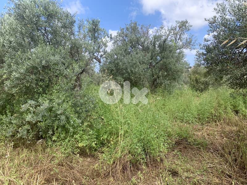 RWB127NK - Land for sale in Jeddayel Jbeil 0
