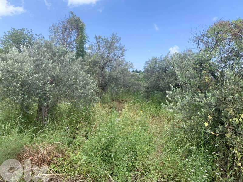 RWB127NK - Land for sale in Jeddayel Jbeil 2