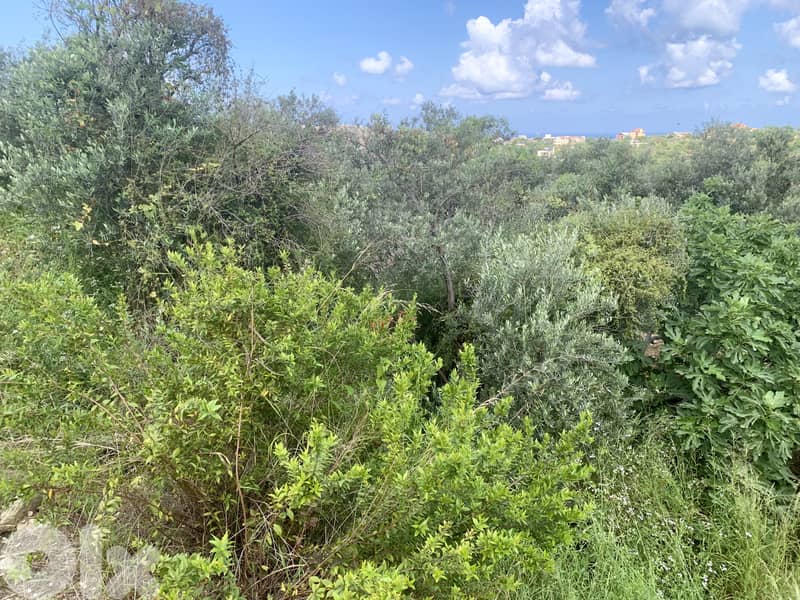 RWB127NK - Land for sale in Jeddayel Jbeil 3