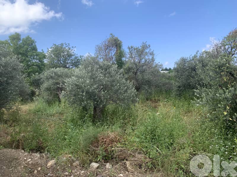RWB127NK - Land for sale in Jeddayel Jbeil 4