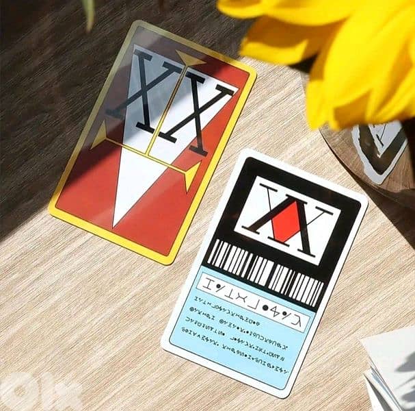Hunter x Hunter liscence card 0