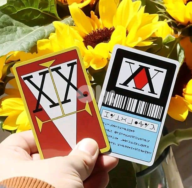 شهادة الصيادين hunter x hunter 5