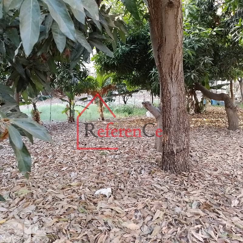 Outstanding 1000sqm Land For Sale In Zalka. أرض رائعة للبيع في الزلقا 1
