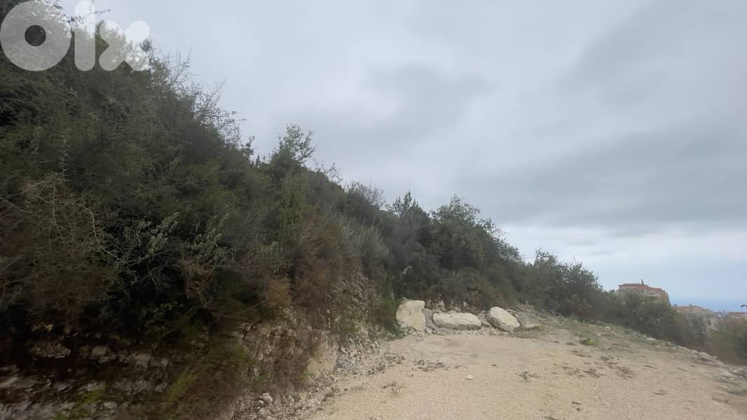 RWB164CA - Land for sale in Hboub Jbeil 1