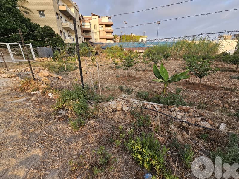 RWB326MT - Land for sale in Amchit Jbeil 5