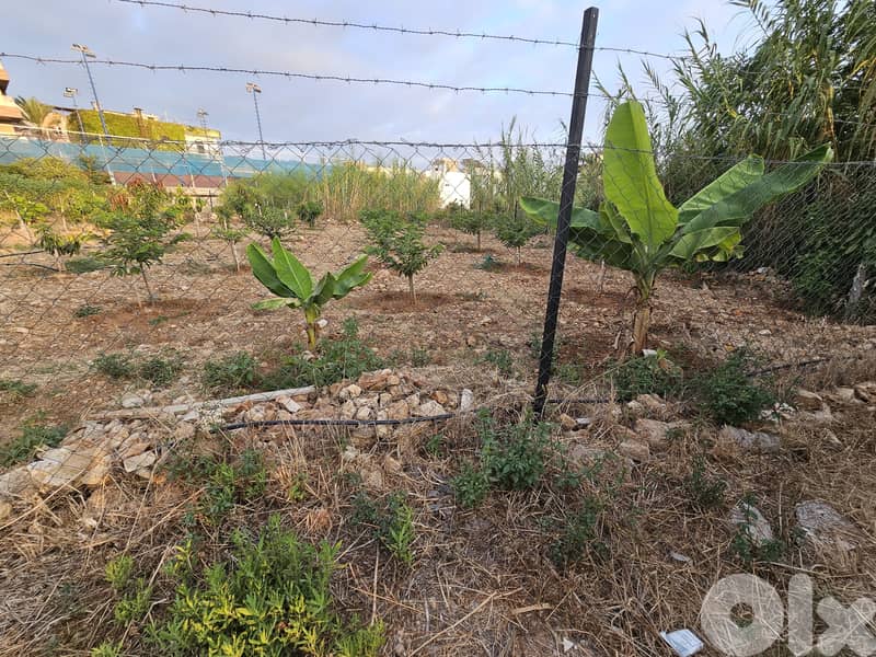RWB326MT - Land for sale in Amchit Jbeil 6