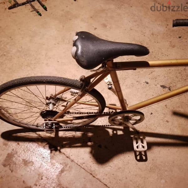 بسكليت يابانية 1