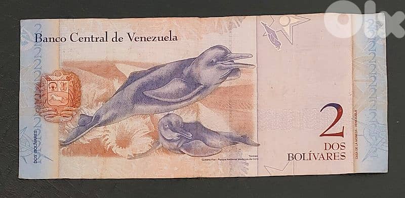 Venezuela 2 Bolivares 2008 1