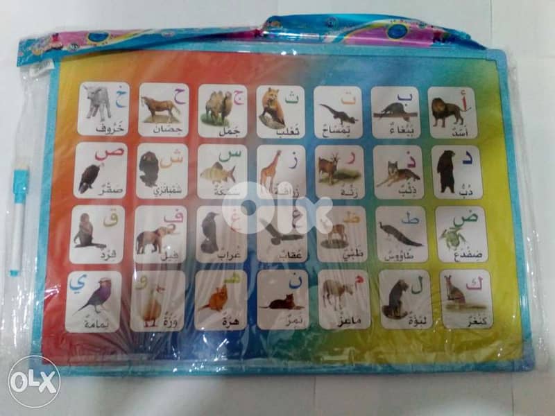 Animal White Board Marker - 50cm x 35cm 5