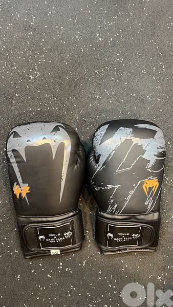 boxing gloves 2