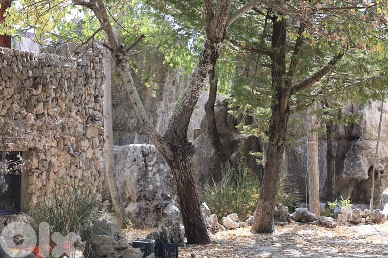 Exceptional Land for sale in Faitroun 3400 SQM $160/meter 5