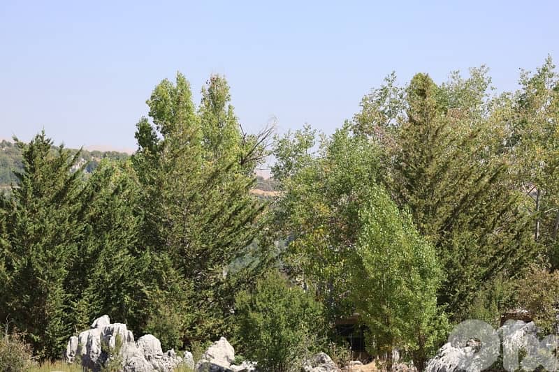 Exceptional Land for sale in Faitroun 3400 SQM $160/meter 7
