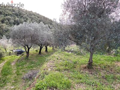Land for sale in Jran-Batroun ارض للبيع في جران البترون