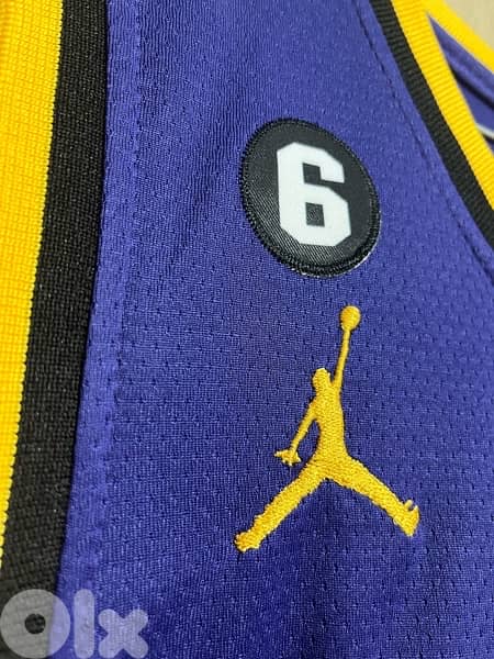 lebron james 6  special edition lakers air jordan kit 2023 1