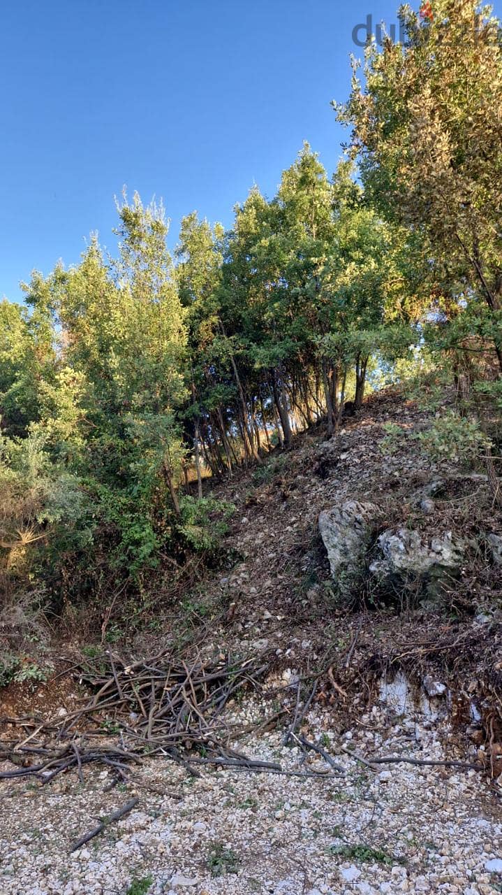 Land for sale in Chabtine ارض للبيع في شبطين 1