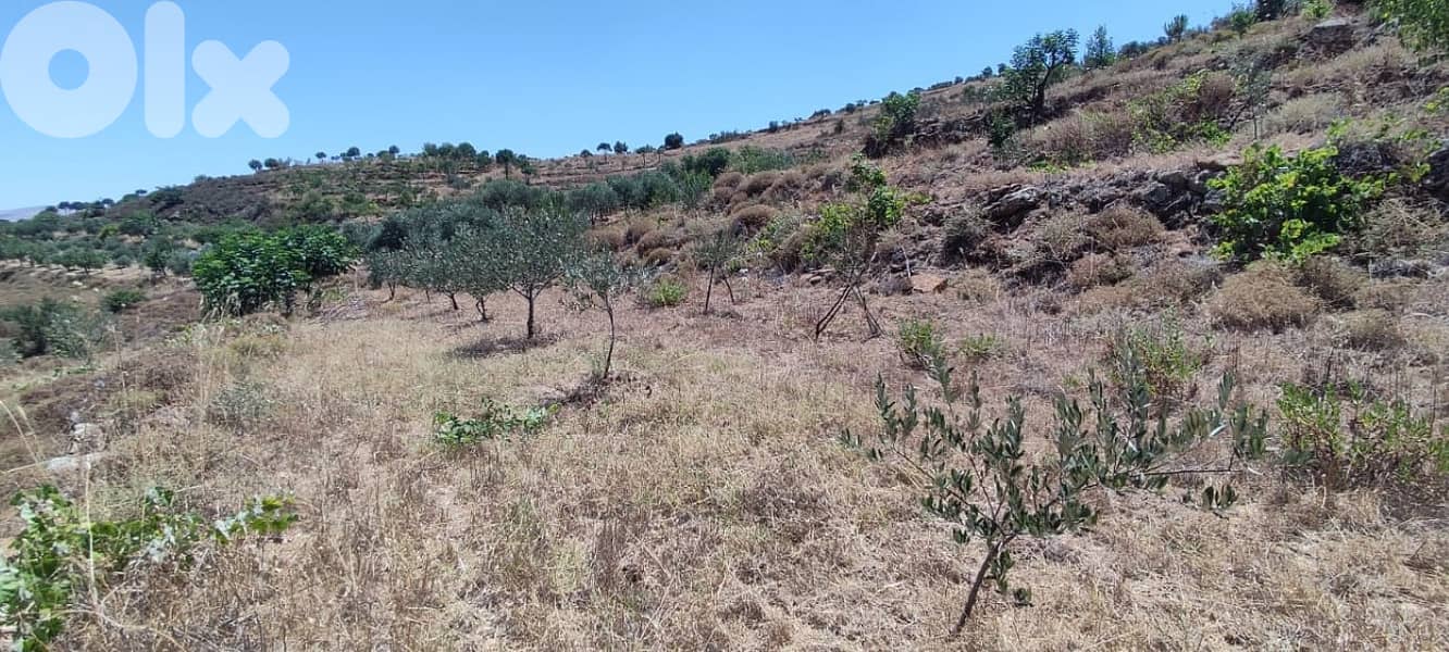 3800 Sqm | Land For Sale In Rachaya Al Wadi | Mountain View 1