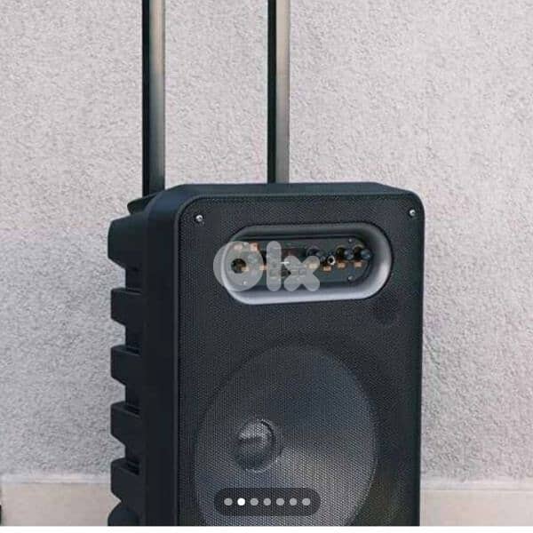 Karaoke Speaker 40W RMS 12 inches 3