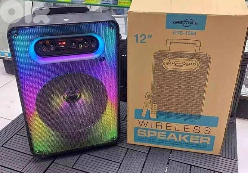 Karaoke Speaker 40W RMS 12 inches 4