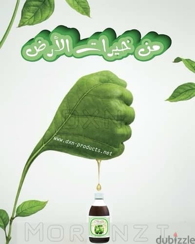 التسويق والادارة