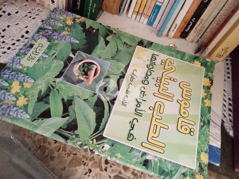 كتب بأرخص اسعار 10