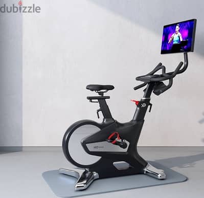 15.6” Screen Self Generating Electricity Bike