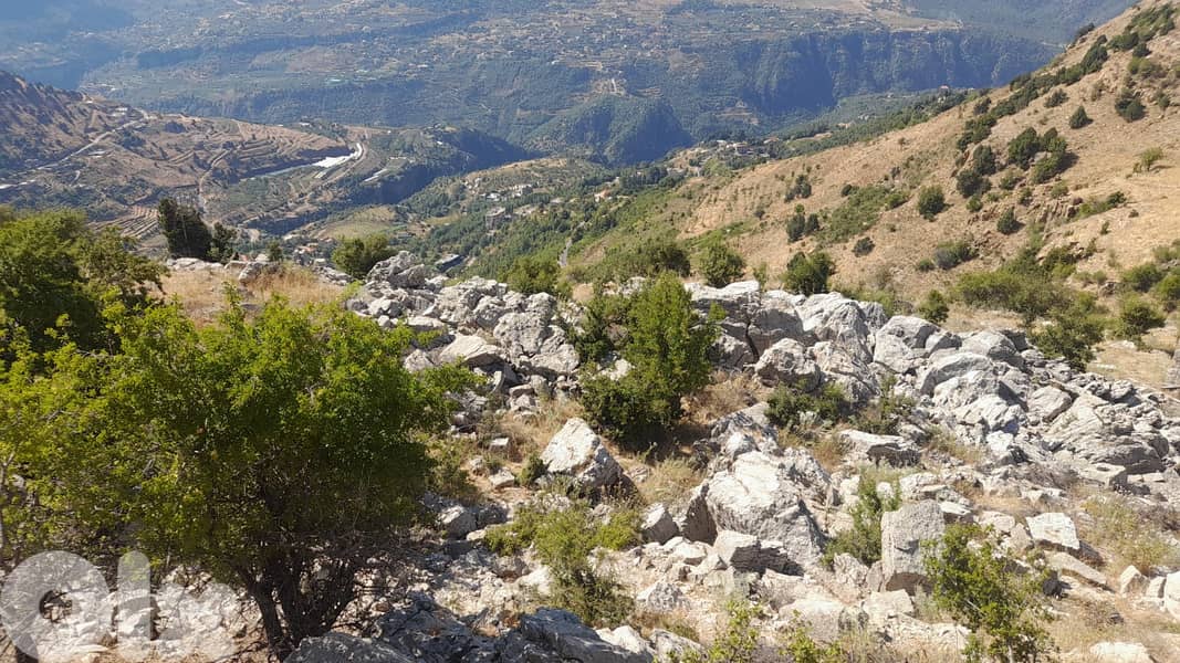 L15955-55,550 SQM Land With A Nice View For Sale In Qartaba 2