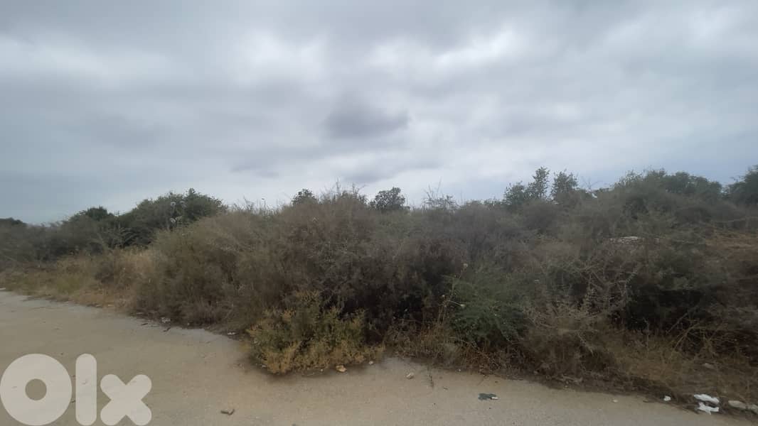 RWB166CA - Land for sale in Edde Jbeil 0