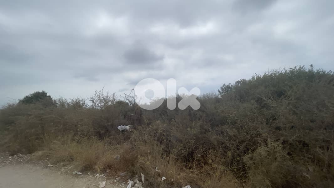RWB166CA - Land for sale in Edde Jbeil 2