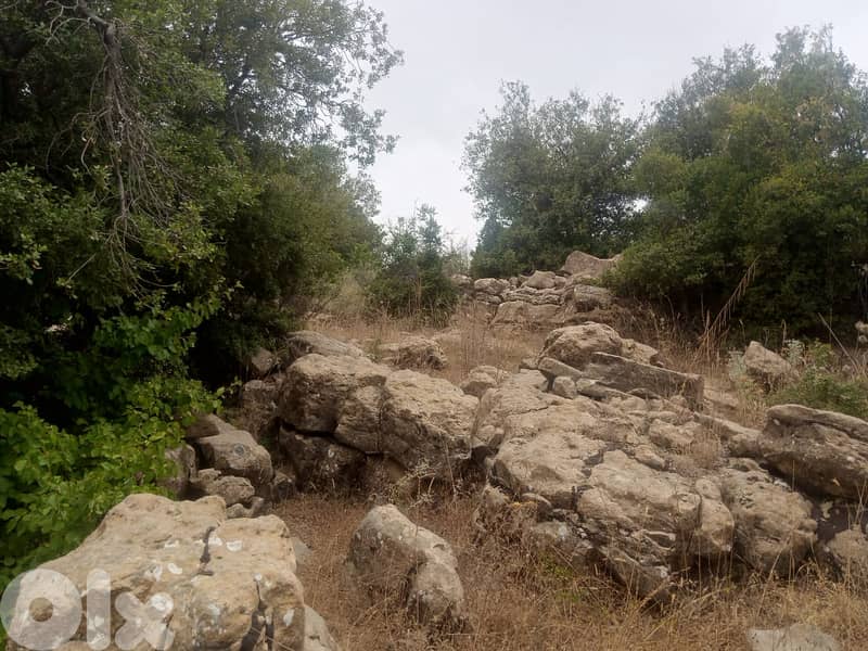 RWB101PK - Land for sale in Ehmej Jbeil 0