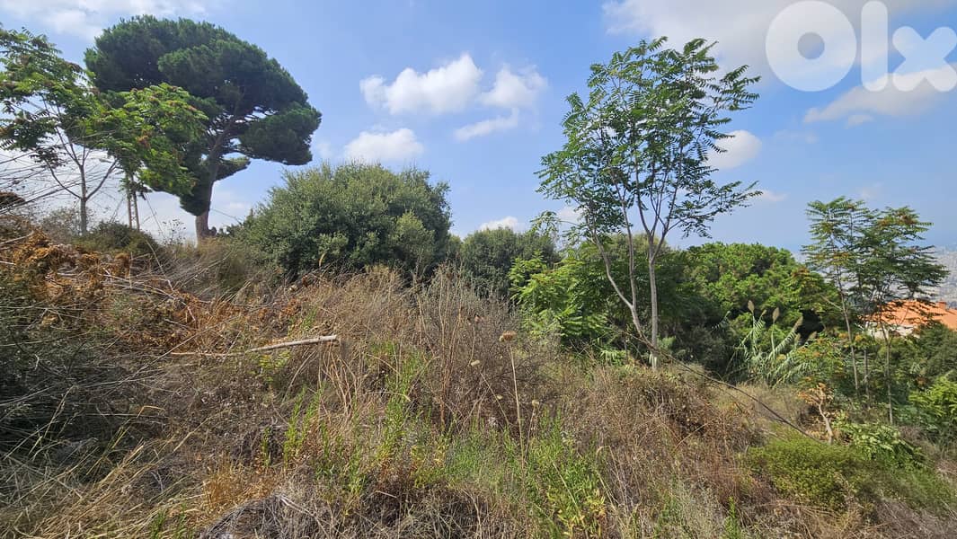 Land for sale in Ain Saadeh ارض للبيع في عين سعادة 0