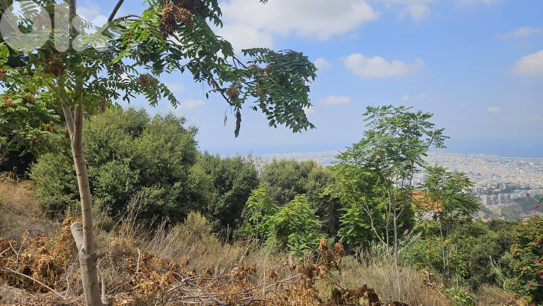 Land for sale in Ain Saadeh ارض للبيع في عين سعادة 1