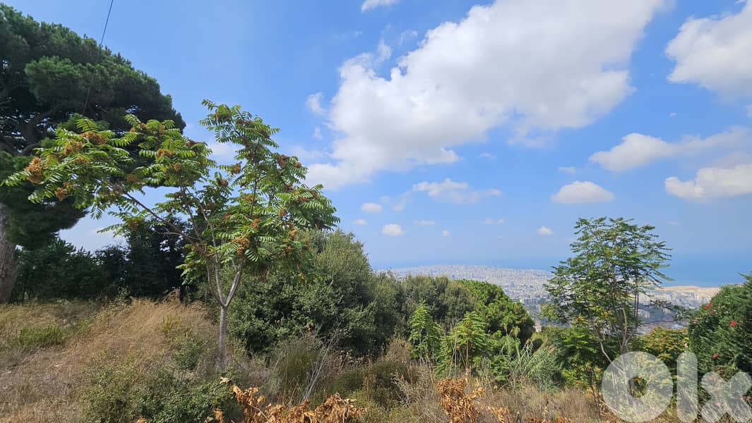 Land for sale in Ain Saadeh ارض للبيع في عين سعادة 4