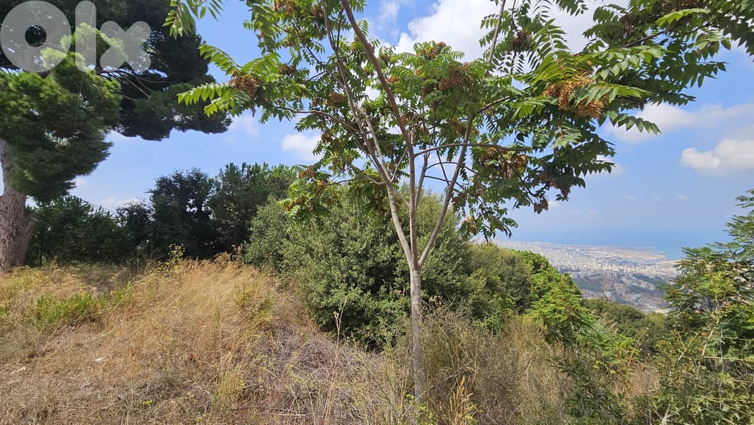 Land for sale in Ain Saadeh ارض للبيع في عين سعادة 5