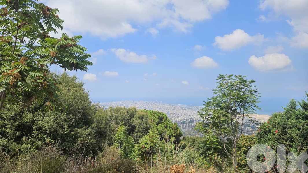 Land for sale in Ain Saadeh ارض للبيع في عين سعادة 6