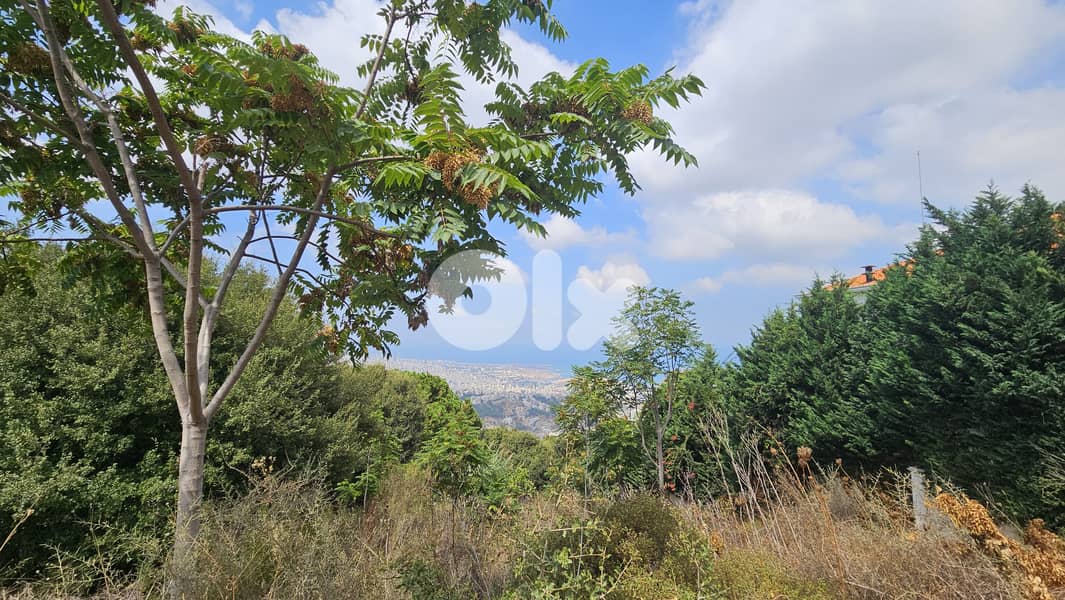 Land for sale in Ain Saadeh ارض للبيع في عين سعادة 7