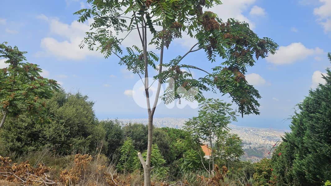 Land for sale in Ain Saadeh ارض للبيع في عين سعادة 8