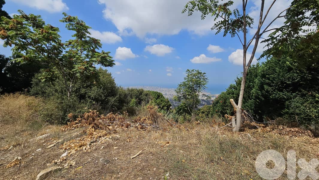 Land for sale in Ain Saadeh ارض للبيع في عين سعادة 9