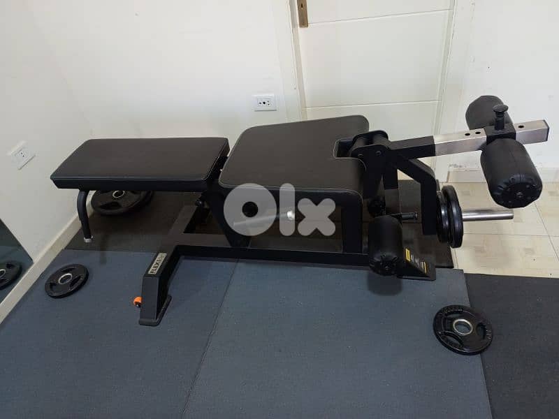 Leg extension leg curl Bench Heavy Duty 03027072 GEO SPORT 0