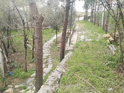 3170m land zone 30/90 Buildings Bhamdoun Day3a Btalloun Intersect