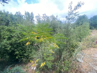 Land for sale in Jran-Batroun ارض للبيع في جران-البترون