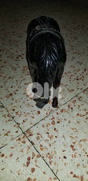 حصان للزينة 0